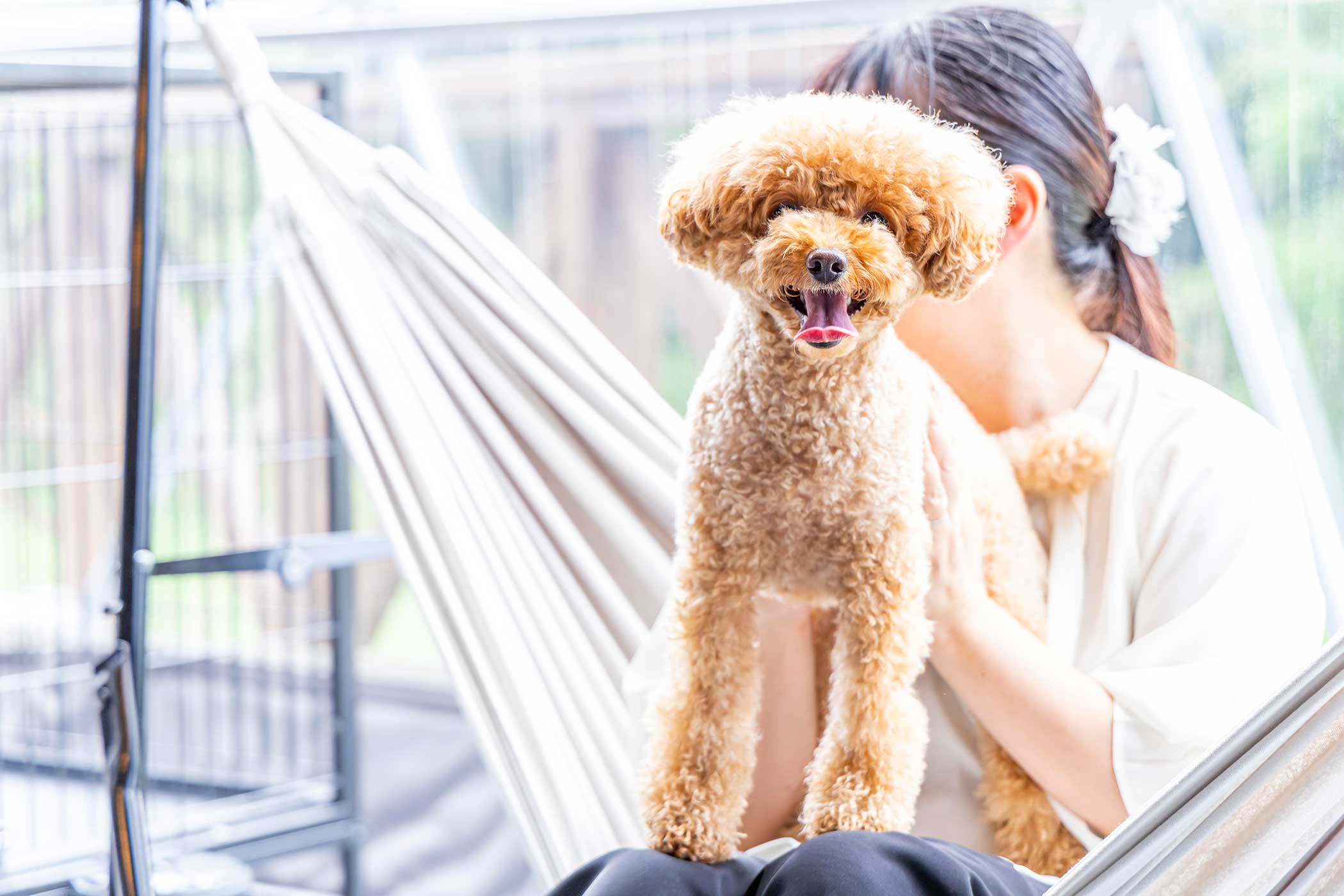 ドッグラン付き愛犬と一緒に泊まれるお部屋